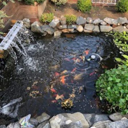 ניו יורק Beautiful Brooklyn Koi-Fish Pond-Garden Residence מראה חיצוני תמונה