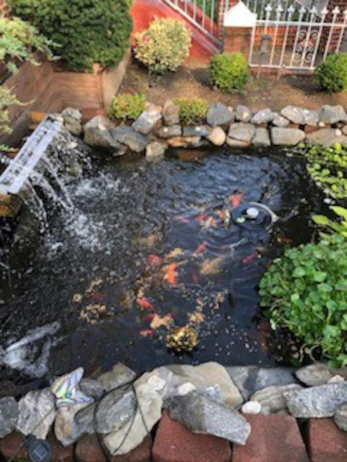 ניו יורק Beautiful Brooklyn Koi-Fish Pond-Garden Residence מראה חיצוני תמונה